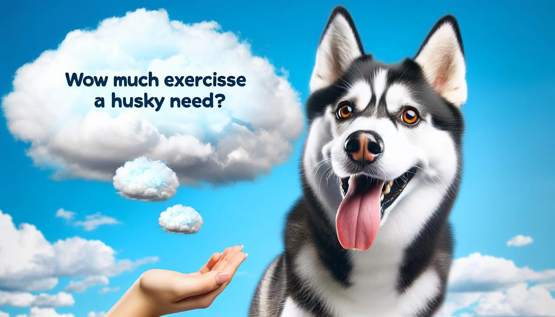 How Much Exercise Does a Husky Need? Find Out Now!