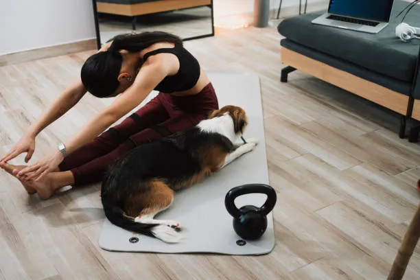 How much exercise do huskies need How to Incorporate Exercise into Your Husky's Routine