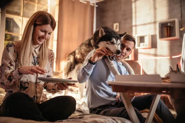 How much should a husky puppy eat The Role of Activity in Feeding