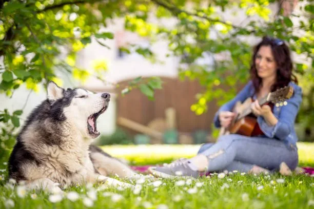How to teach a husky to speak almost like a human Practicing Speech in Different Scenarios