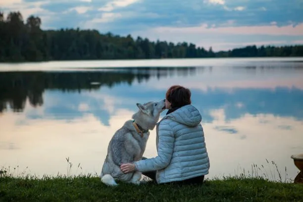 How to teach a husky to speak almost like a human Developing a Consistent Training Regimen