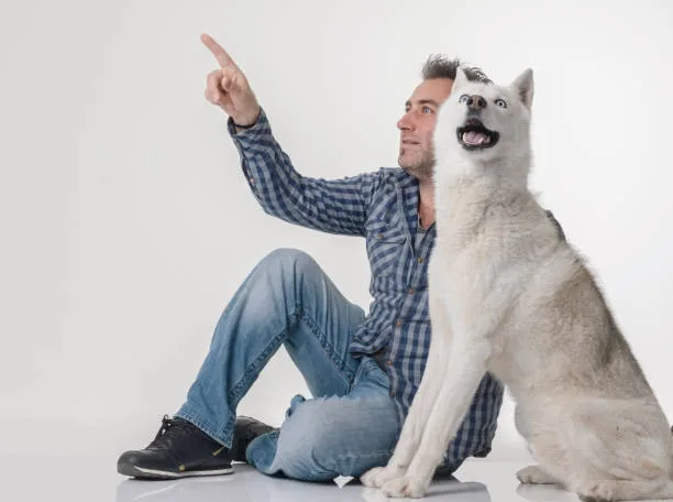 What age is a husky fully grown Behavioral Training and Mental Stimulation for Huskies